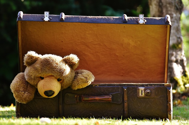 luggage 1650171_640